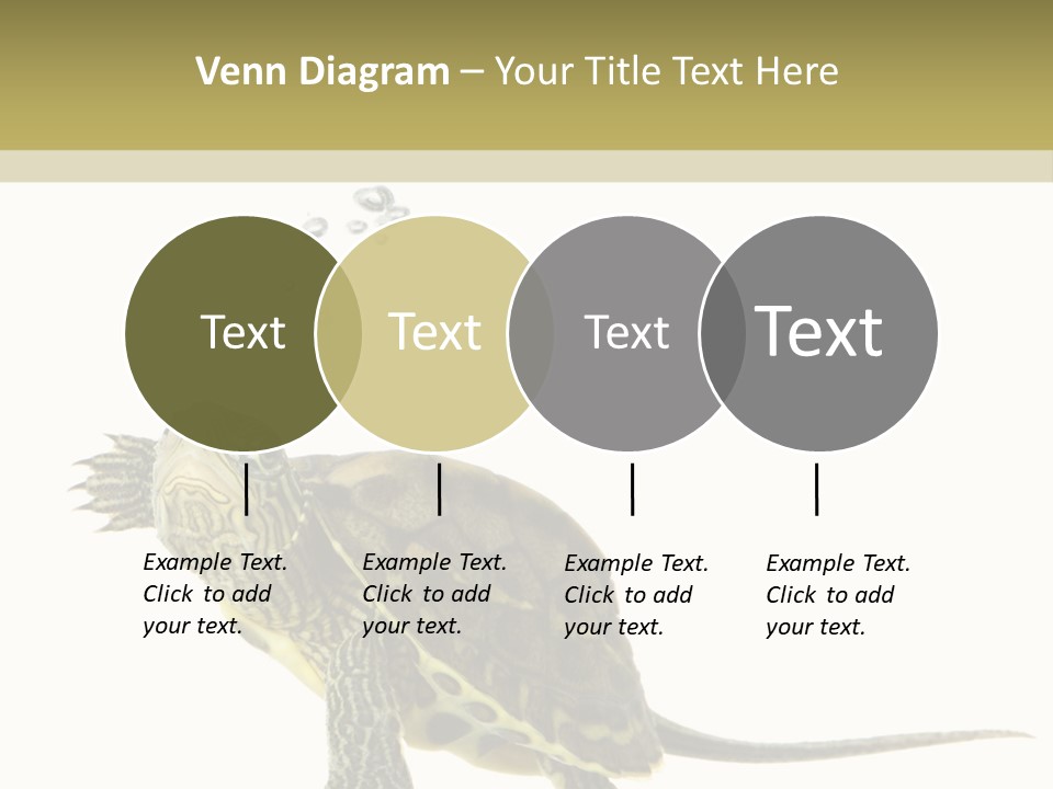 Fluid Light Fin PowerPoint Template