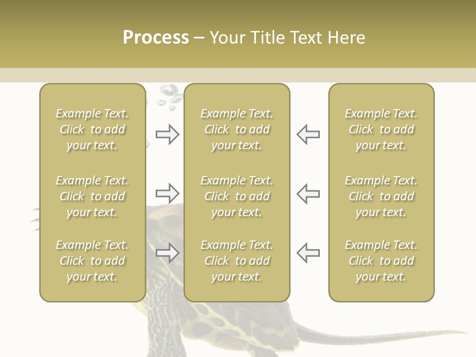 Fluid Light Fin PowerPoint Template