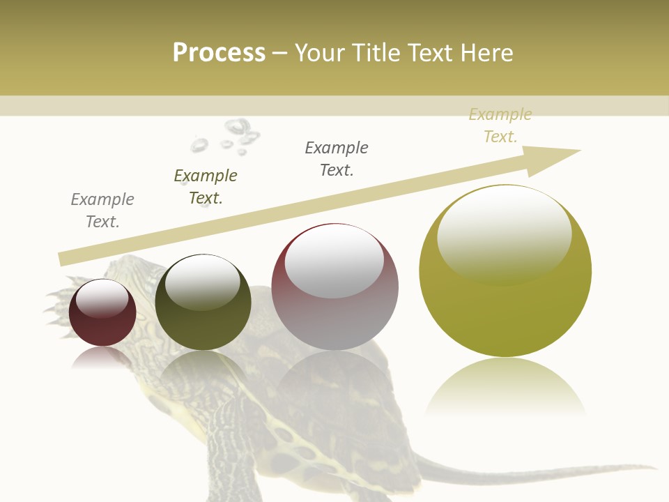 Fluid Light Fin PowerPoint Template