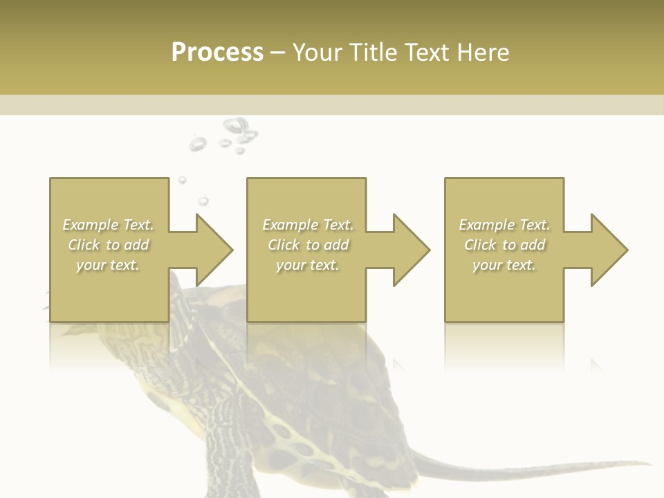 Fluid Light Fin PowerPoint Template