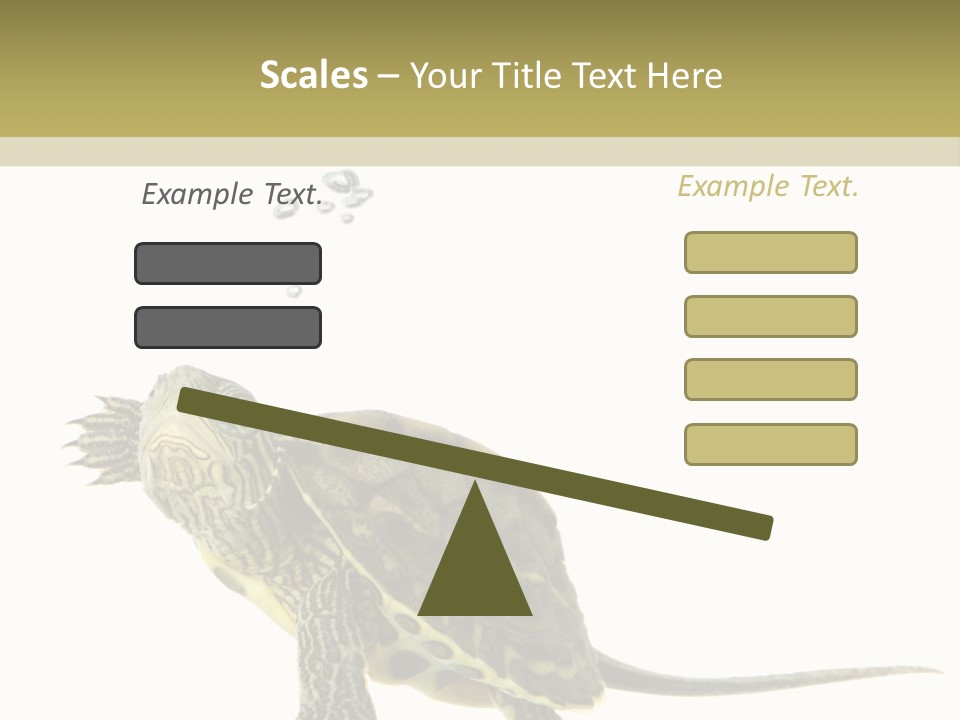 Fluid Light Fin PowerPoint Template