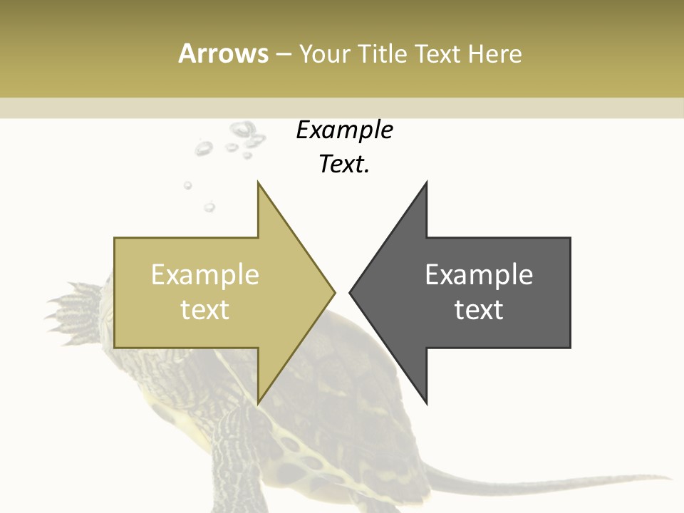 Fluid Light Fin PowerPoint Template