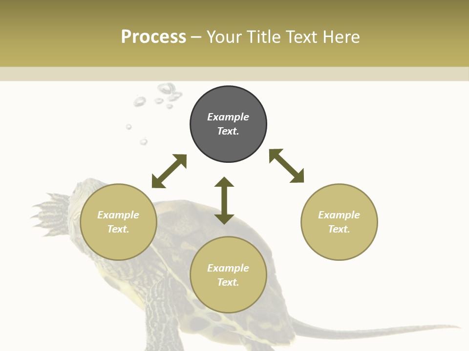 Fluid Light Fin PowerPoint Template