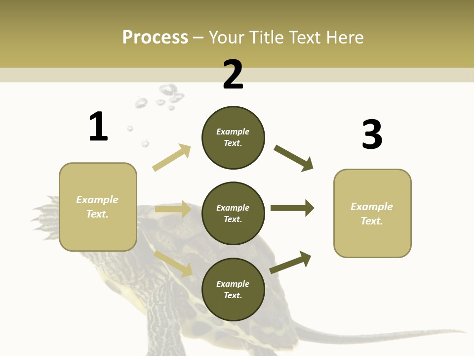 Fluid Light Fin PowerPoint Template