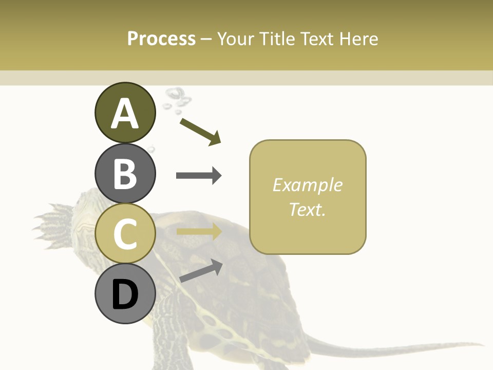 Fluid Light Fin PowerPoint Template