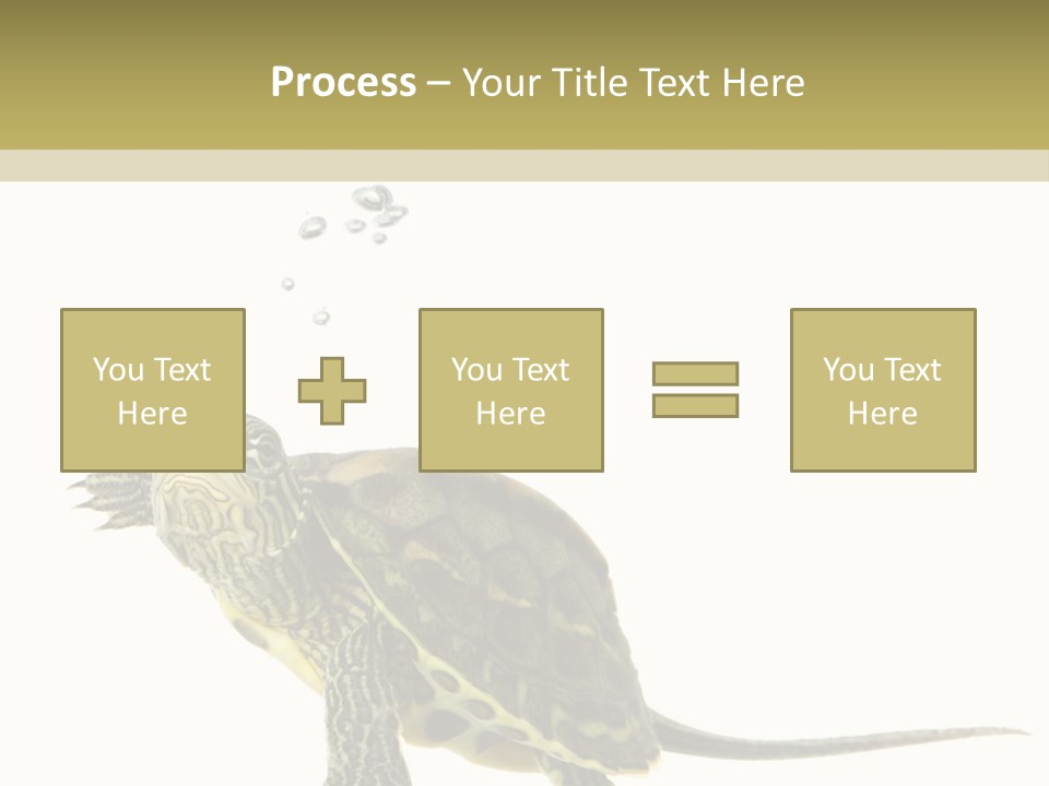 Fluid Light Fin PowerPoint Template