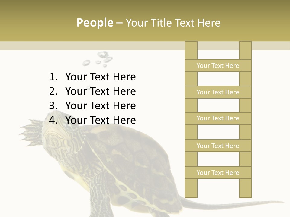 Fluid Light Fin PowerPoint Template