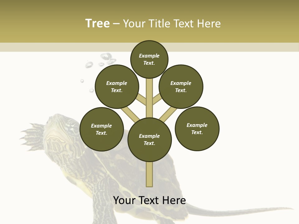 Fluid Light Fin PowerPoint Template