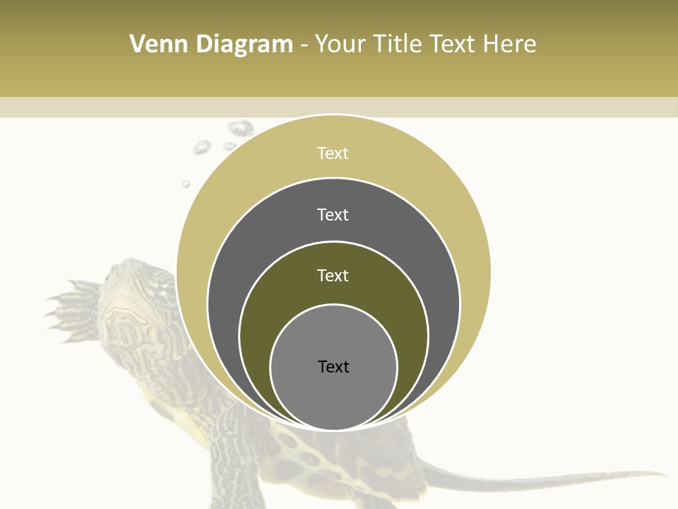 Fluid Light Fin PowerPoint Template