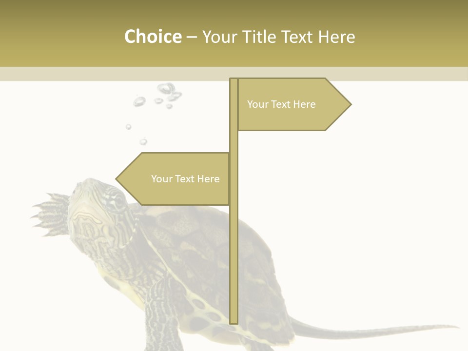 Fluid Light Fin PowerPoint Template