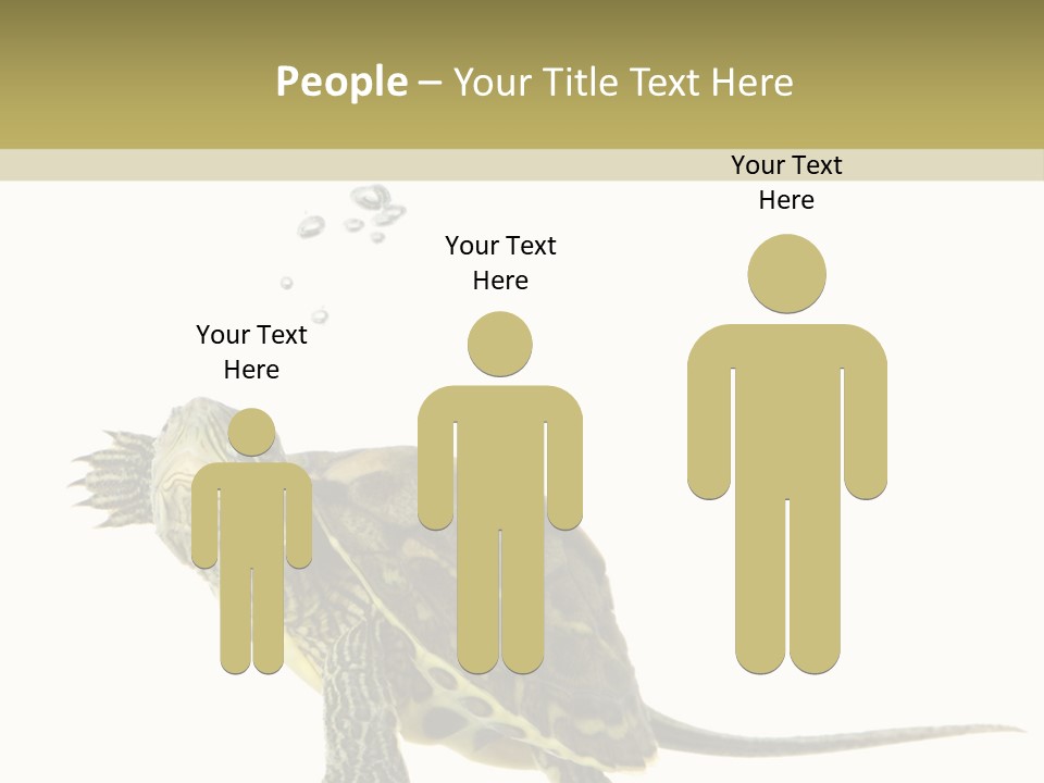 Fluid Light Fin PowerPoint Template