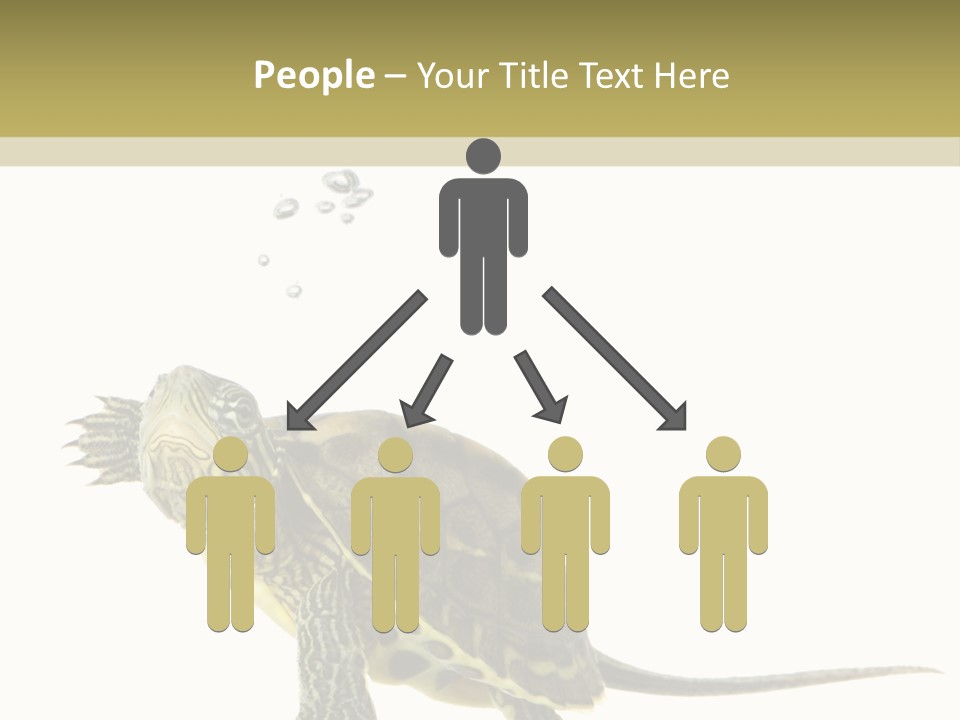 Fluid Light Fin PowerPoint Template