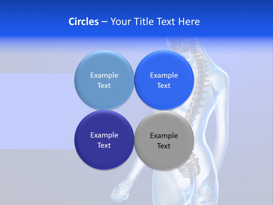 Vertebral Spine White PowerPoint Template