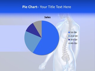 Vertebral Spine White PowerPoint Template