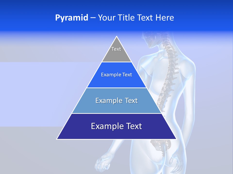 Vertebral Spine White PowerPoint Template