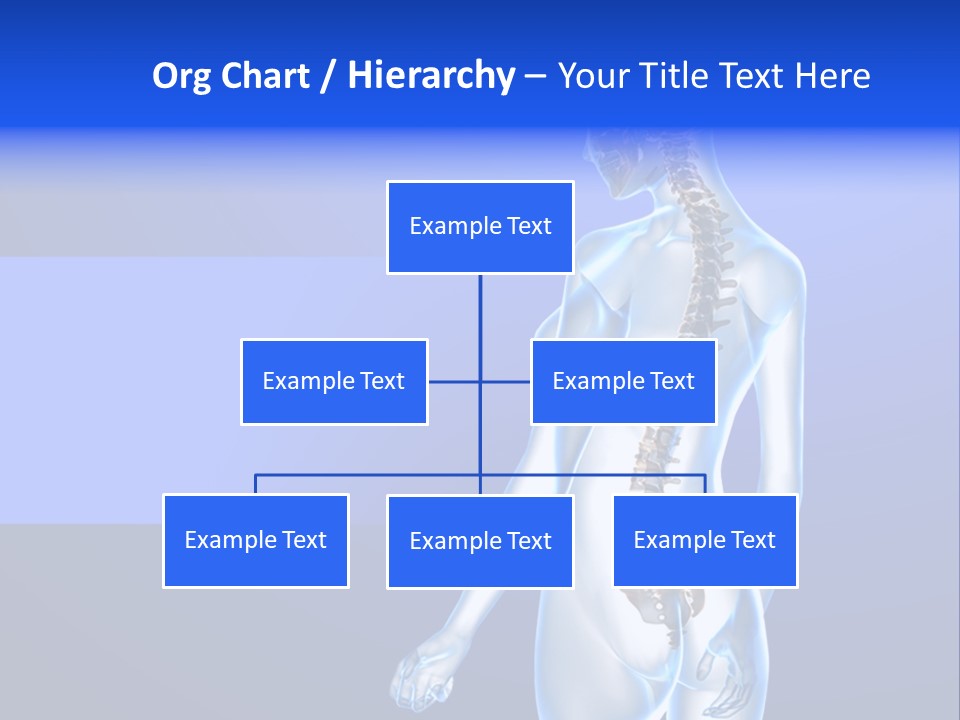 Vertebral Spine White PowerPoint Template