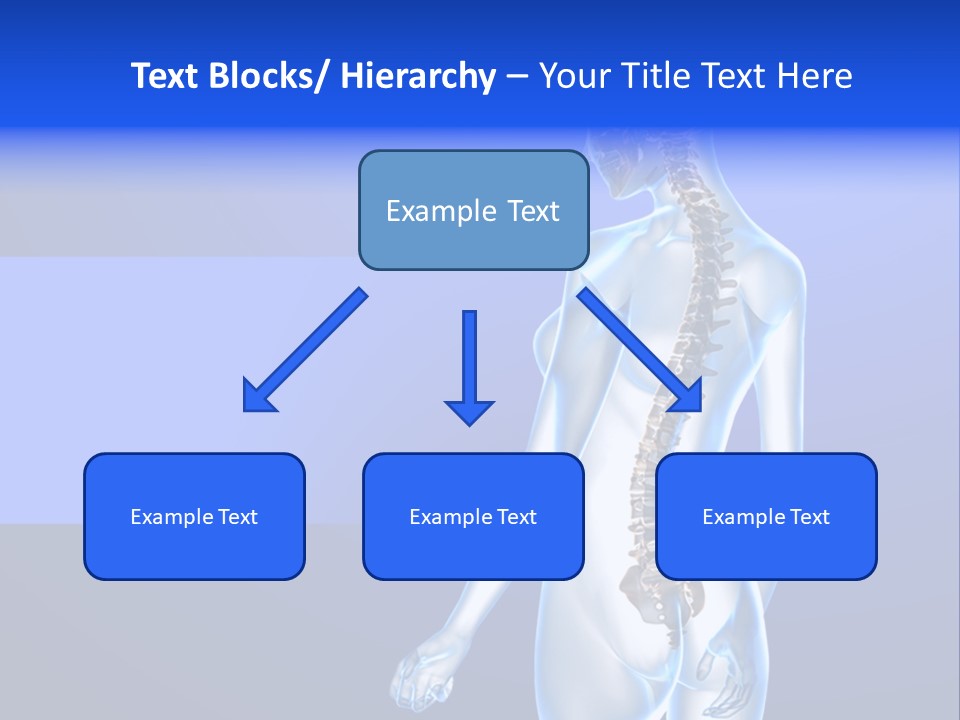 Vertebral Spine White PowerPoint Template