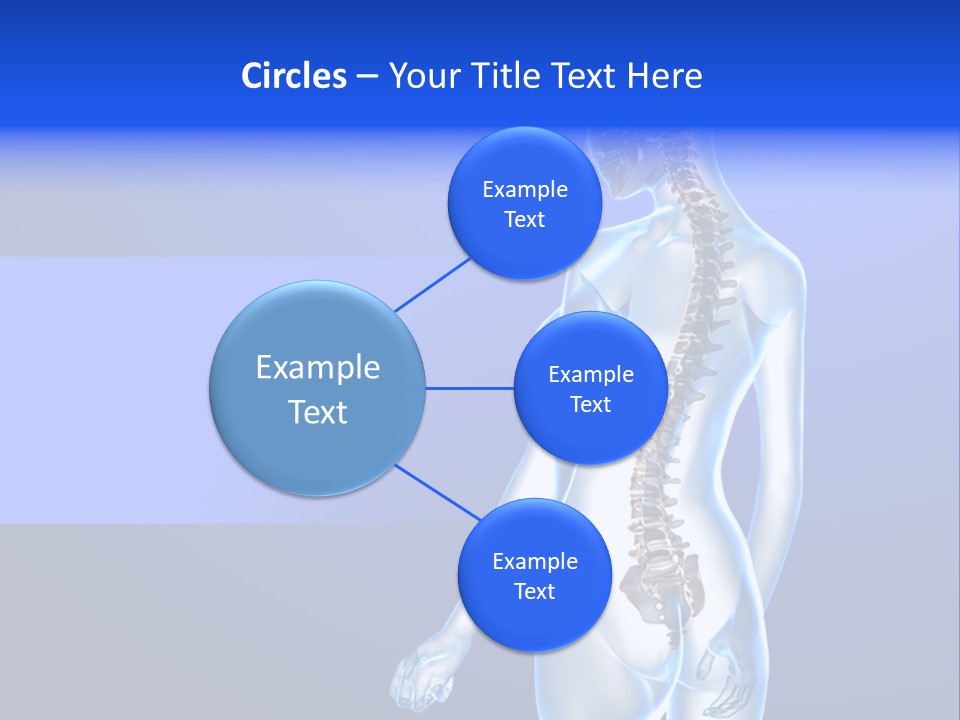 Vertebral Spine White PowerPoint Template