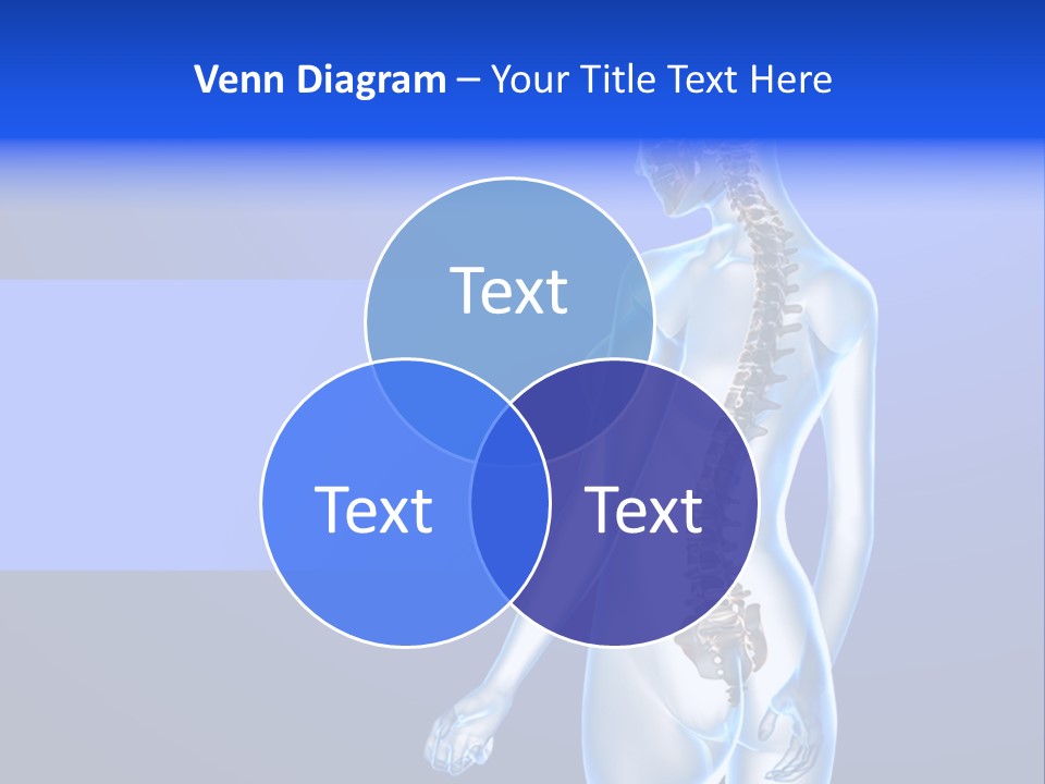 Vertebral Spine White PowerPoint Template