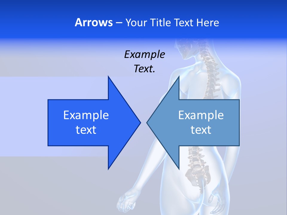 Vertebral Spine White PowerPoint Template