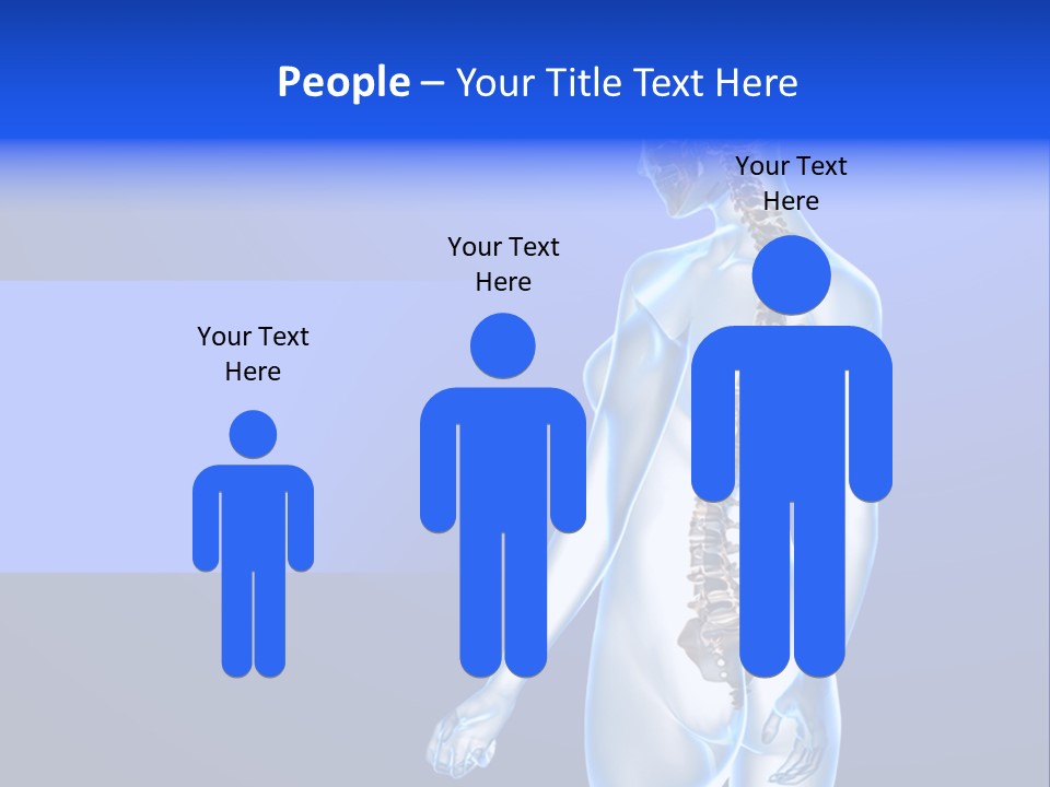 Vertebral Spine White PowerPoint Template