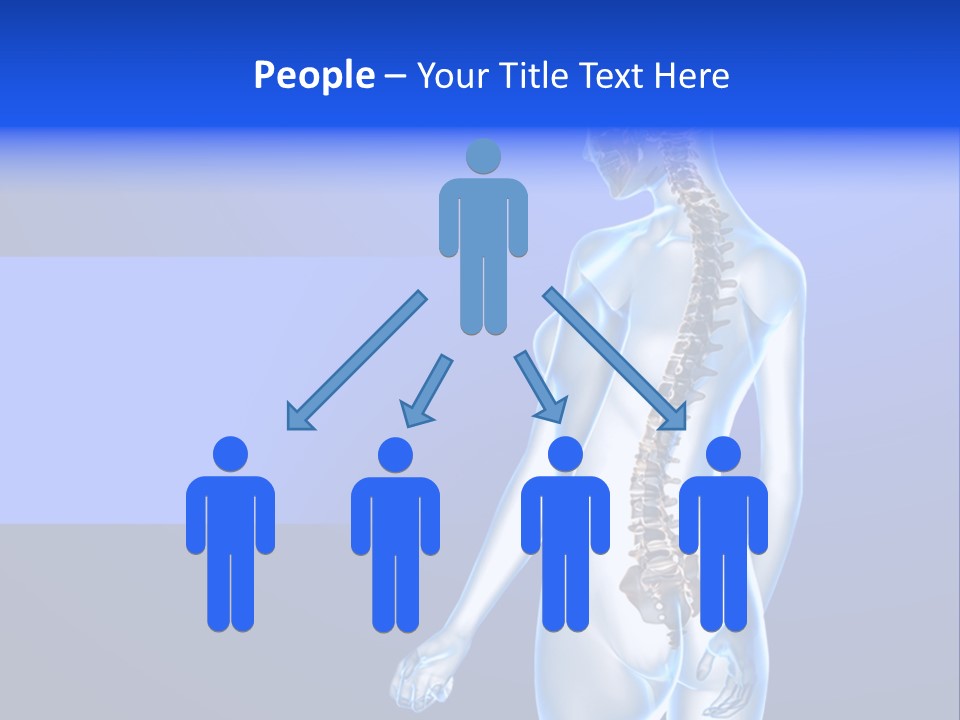 Vertebral Spine White PowerPoint Template