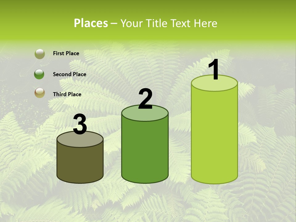 Branch Canopy Nature PowerPoint Template