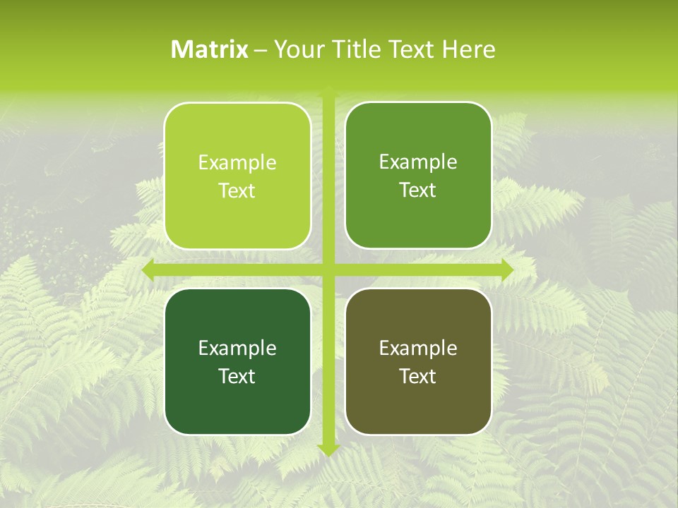 Branch Canopy Nature PowerPoint Template