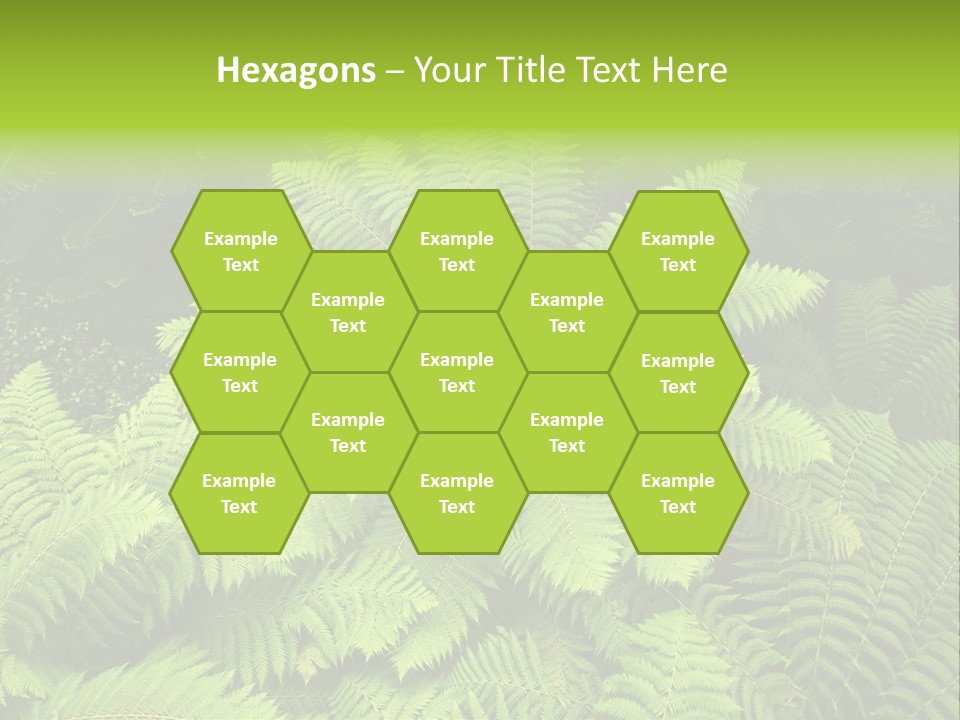 Branch Canopy Nature PowerPoint Template