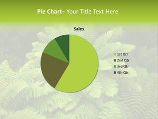 Branch Canopy Nature PowerPoint Template