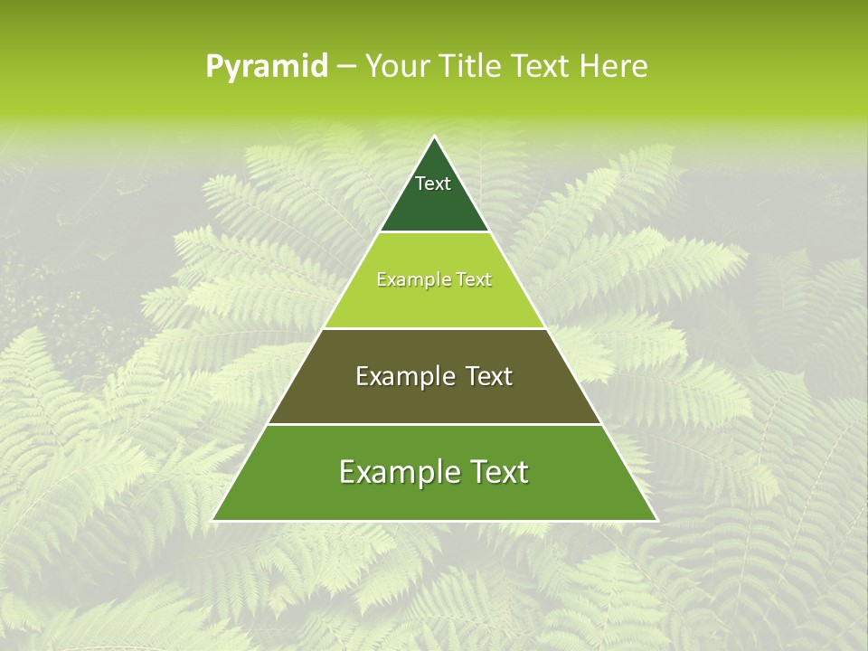 Branch Canopy Nature PowerPoint Template