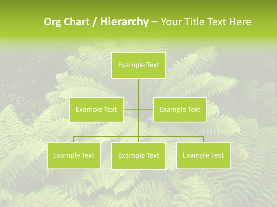 Branch Canopy Nature PowerPoint Template