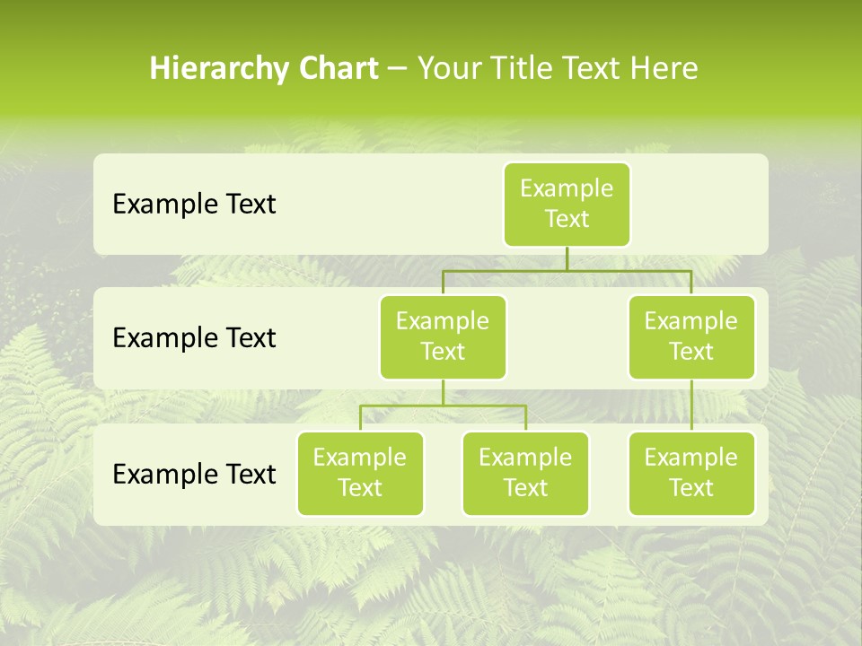 Branch Canopy Nature PowerPoint Template
