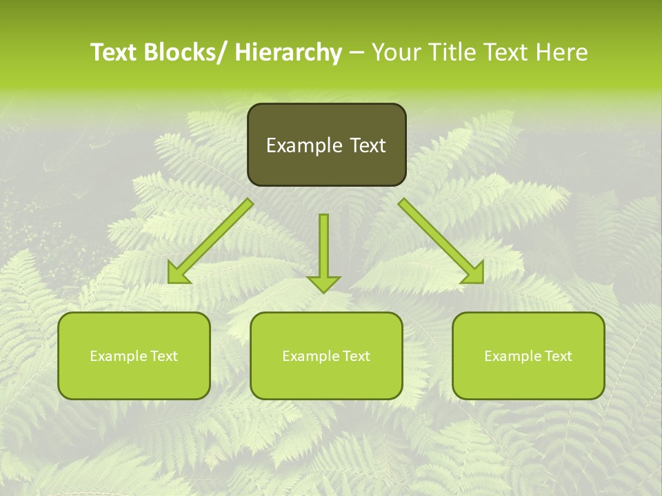 Branch Canopy Nature PowerPoint Template