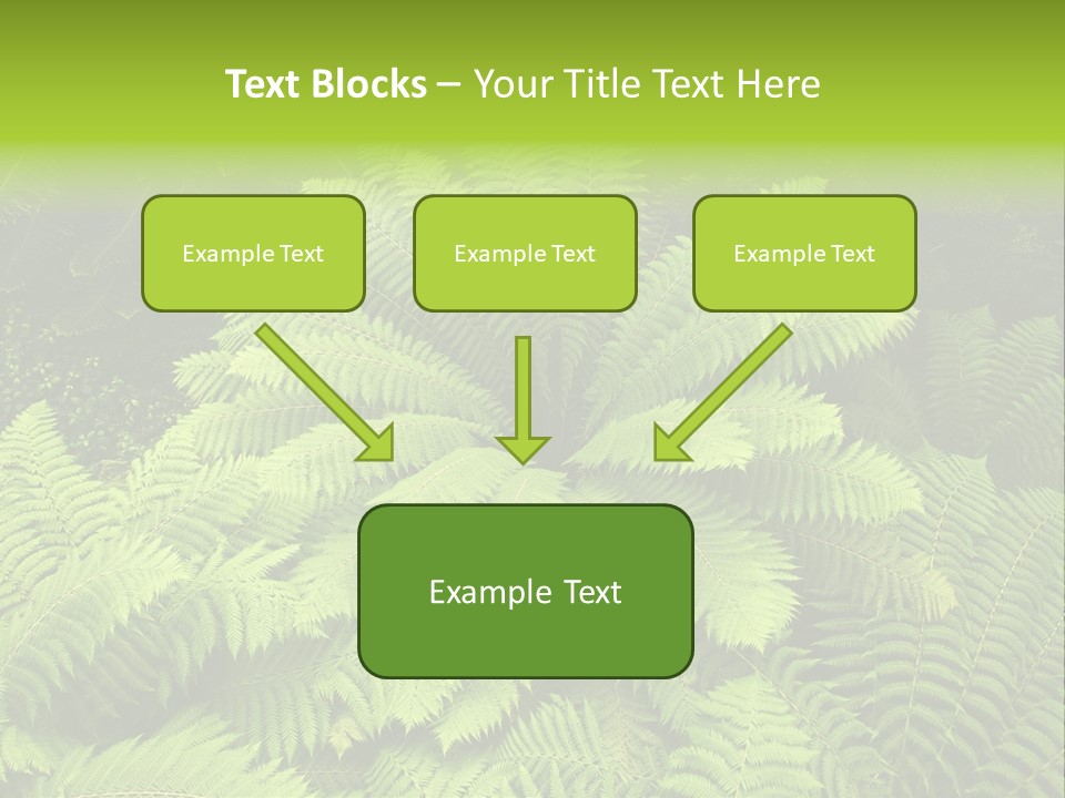 Branch Canopy Nature PowerPoint Template