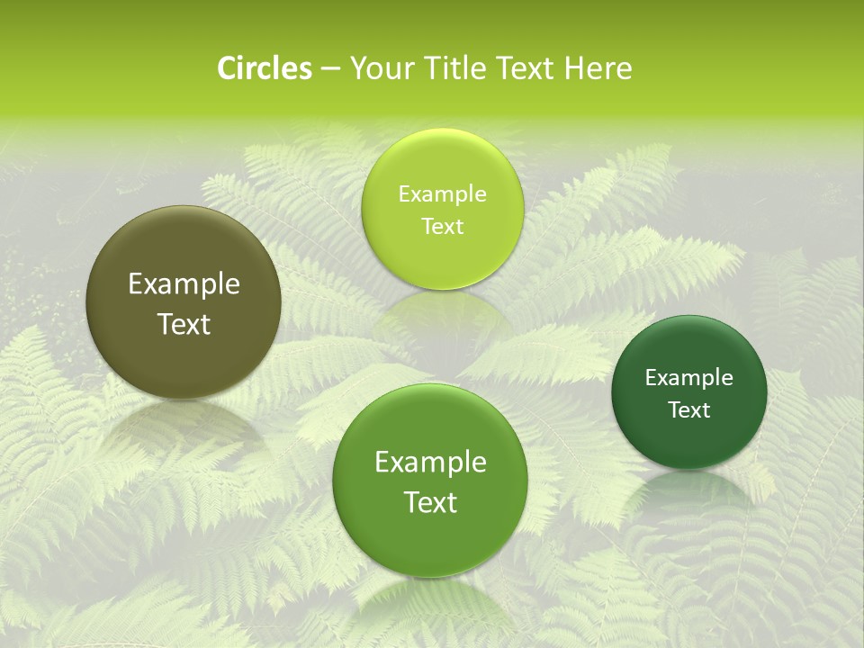 Branch Canopy Nature PowerPoint Template