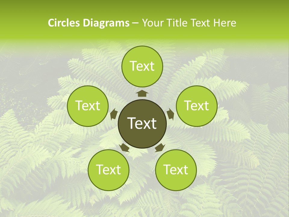 Branch Canopy Nature PowerPoint Template