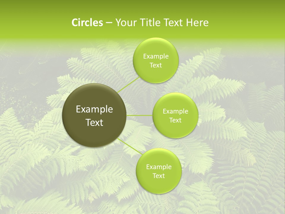 Branch Canopy Nature PowerPoint Template