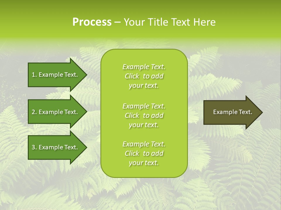 Branch Canopy Nature PowerPoint Template