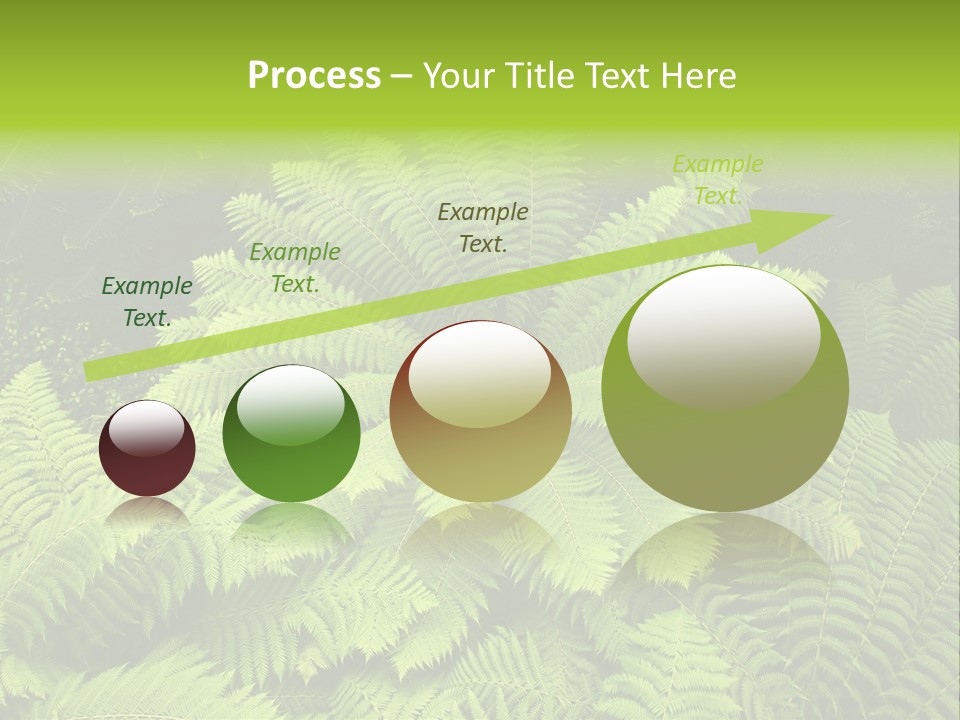 Branch Canopy Nature PowerPoint Template