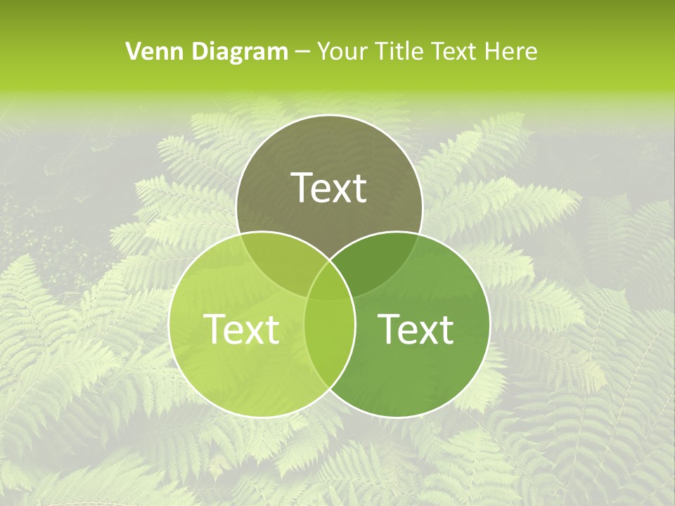 Branch Canopy Nature PowerPoint Template