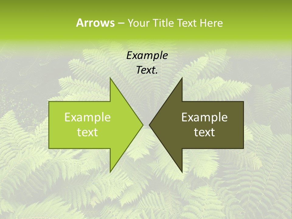 Branch Canopy Nature PowerPoint Template