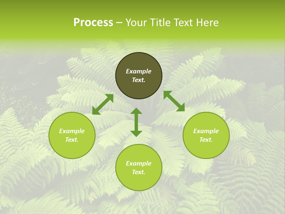 Branch Canopy Nature PowerPoint Template