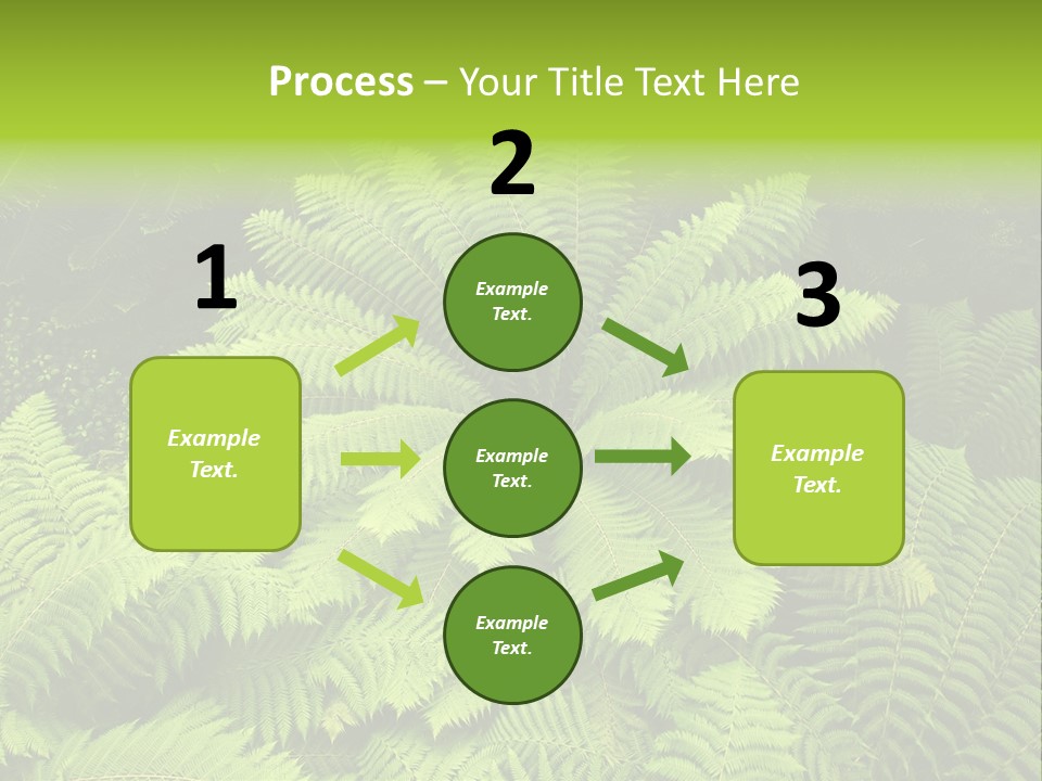 Branch Canopy Nature PowerPoint Template