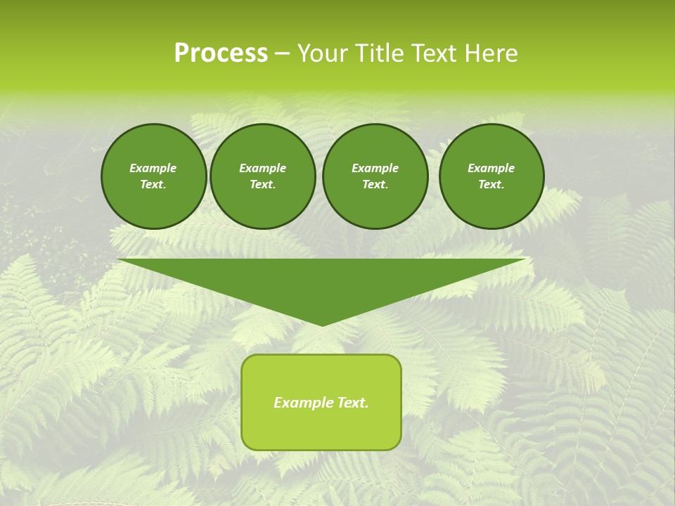 Branch Canopy Nature PowerPoint Template