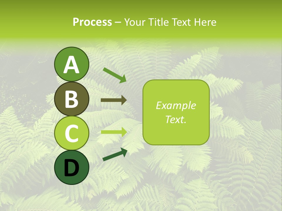 Branch Canopy Nature PowerPoint Template