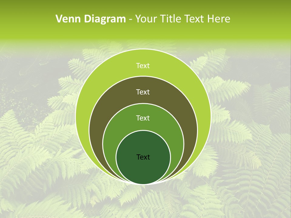 Branch Canopy Nature PowerPoint Template
