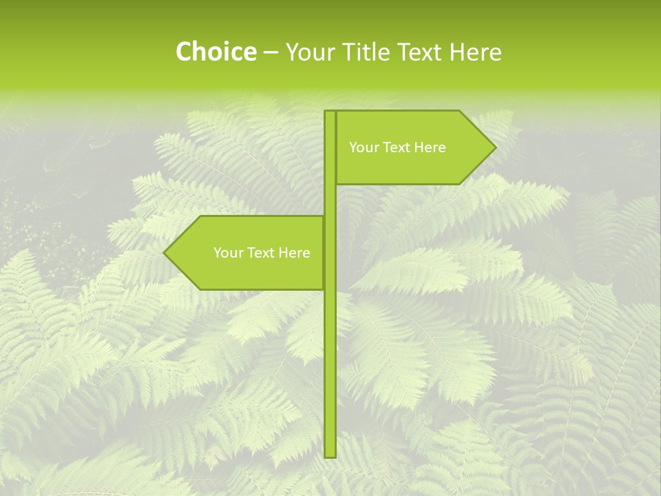 Branch Canopy Nature PowerPoint Template