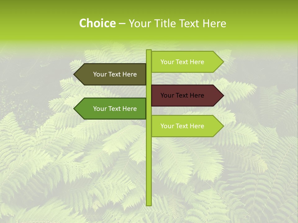 Branch Canopy Nature PowerPoint Template