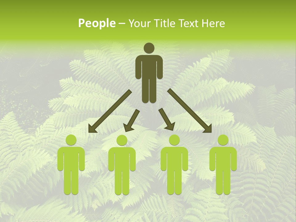 Branch Canopy Nature PowerPoint Template